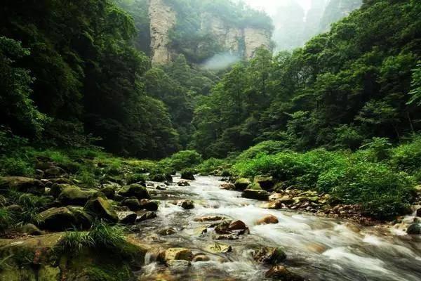 摩洛哥主帅说可以夺冠，你怎么看待摩洛哥在本次世界杯的表现？